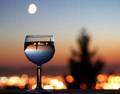 پروفایل شما